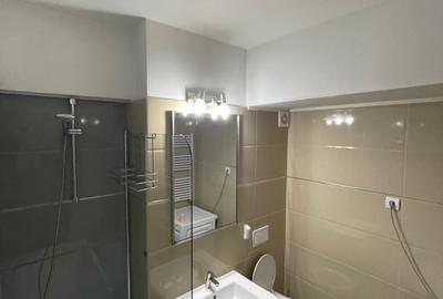 Apartament cu 2 camere decomandat, mobilat în Tătărași - 9