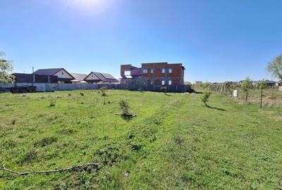 Teren Domnesti Ciutaci - Foisorului Ilfov - 750mp - 2