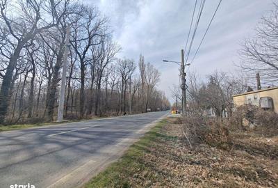 Spațiu comercial, în Ciorogârla - 5