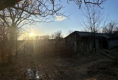 Casă cu 4 camere cu Teren 5000 Mp în Scărișoara - 4