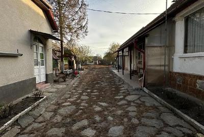 Casă cu 3 camere cu Teren 3000 Mp în Jamu Mare - 1