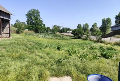 Casă cu 3 camere în Unțeni - 1