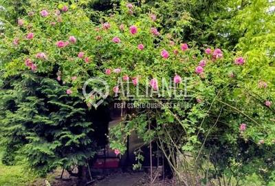 BREBU/PRAHOVA(cod04)-Casa P+1 zona mirifica - 23