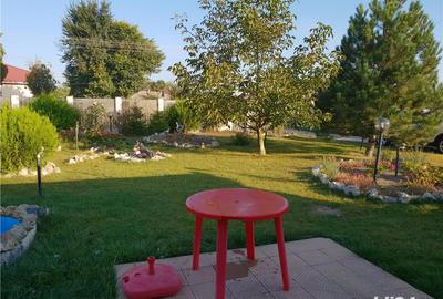 Casă cu 5 camere cu Teren 6000 Mp în Topraisar - 6