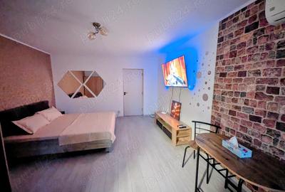 Garsonieră decomandată în Brazda lui Novac - 13