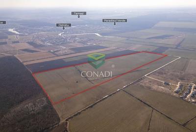 Corbeanca- Teren 45 Ha cu PUZ aprobat - 4