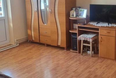 Apartament cu 2 camere semidecomandat în Broșteni - 5