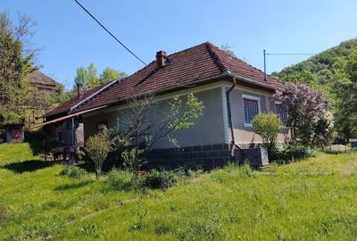 Casă cu 2 camere în Ormindea - 8
