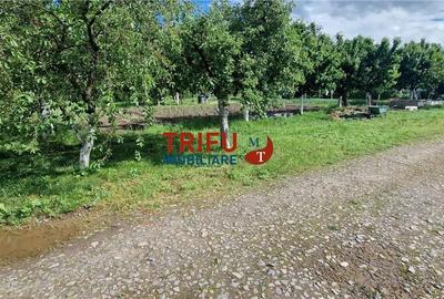 Teren de 500 mp, în Central - 1
