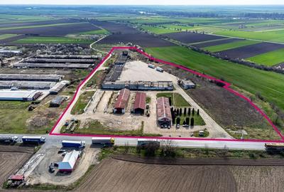 4,2 ha Teren DN7 Nădlac pentru Parc Logistic - 1