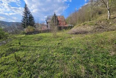 Teren în Brebu - 3