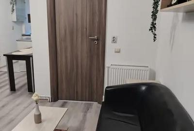 Apartament cu 2 camere decomandat în Brazda lui Novac - 9