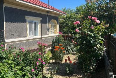 Casă cu 3 camere cu Teren 1000 Mp în Corbii Mari - 2