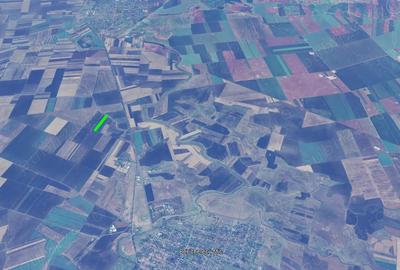 Teren de 10000 mp, în Becicherecu Mic - 1