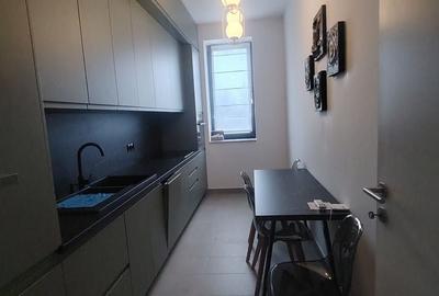 Apartament spatios si modern Baneasa - Sisesti - Apicultorilor - 3