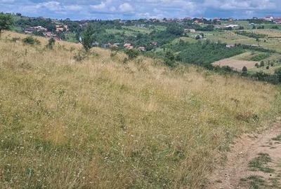 Teren de 2500 mp, în Ciurila - 5