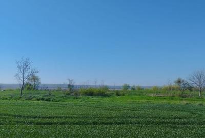 Vand teren intravilan 4000MP cu  dechidere la Delta Neajlovului, Comana GR - 8