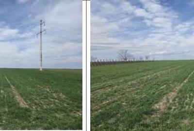 Teren de 2500 mp, în Greaca - 7