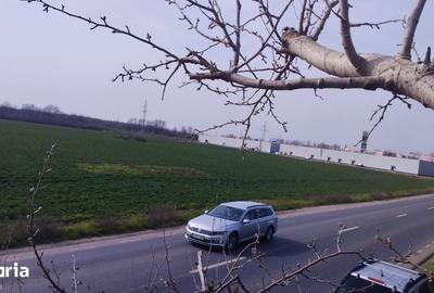 Teren de 5000 mp, în Central - 3