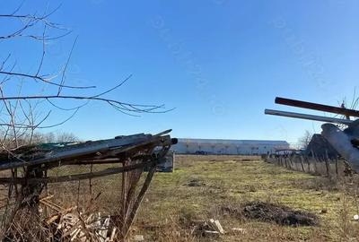 Casă cu 4 camere în Murighiol - 7