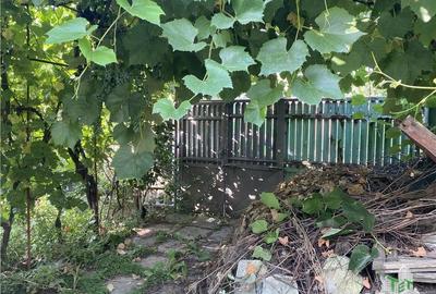 Casă individuală cu 3 camere cu Teren 200 Mp în Vest - 13