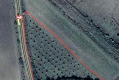 Spațiu comercial, în Docani - 2