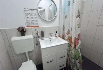 Apartament cu 2 camere decomandat, mobilat în Muncitoresc - 8