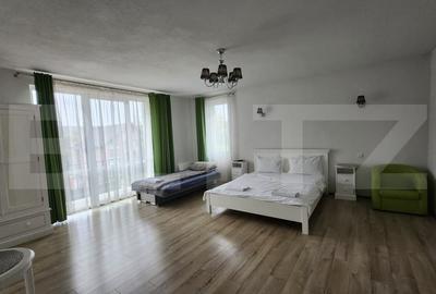 Oportunitate de afacere, Pensiune, Casa de Varstnici sau Casa de Locuit - 19