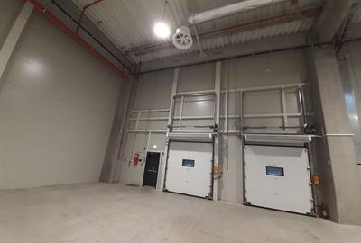 Catelu - Spatiu pentru depozitare cu temperatura controlata - 8