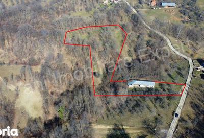 Casă cu 3 camere cu Teren 9815 Mp în Valea Iașului - 17