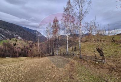Comision 0 %/ Teren extravilan 13,570mp Pestera / Priveli... - 3