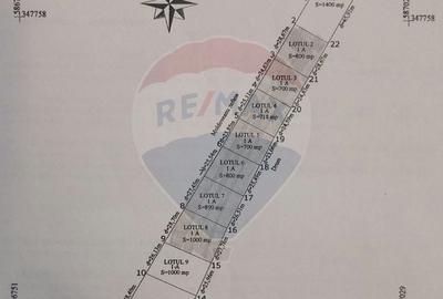 Teren Construcții intravilan de 2024 mp, în Balotești - 4