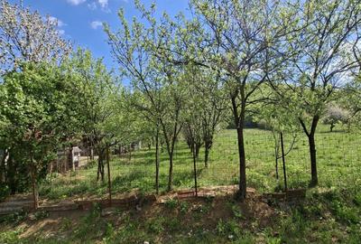 Casă cu 2 camere în Central - 1