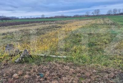 Teren de 1500 mp, în Odoreu - 2