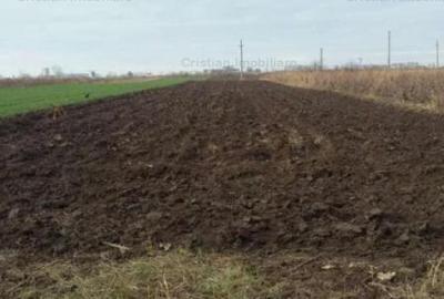 Teren intravilan de 3000 mp, în Chiscani - 3