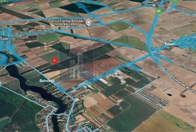Teren de vanzare 10.000 mp | Căciulați, Moara Vlăsiei | Balotesti - 2
