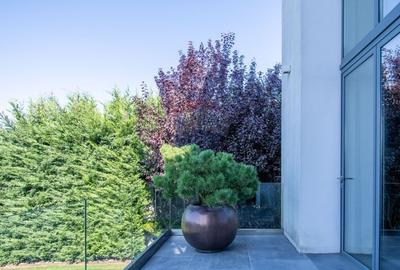 Casă individuală cu 3 camere cu Teren 600 Mp în Florești - 53