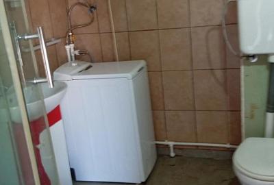 Casă cu Teren 6772 Mp în Ursoaia - 8