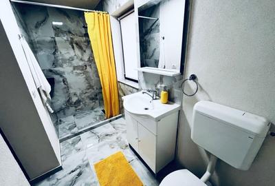 Casă individuală cu 5 camere cu Canalizare în Șoimoș - 2
