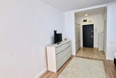 Garsonieră semidecomandată în Timișoara - 3