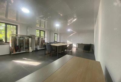 Spatiu comercial de inchiriat in zona Timpuri Noi - 2