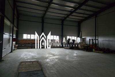 Imobil industrial I 448 mp I Teren 12.000 mp I Bradu I De Inchiriat - 3