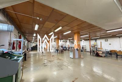 Spațiu industrial, de 502 mp, în Țiglari - 4
