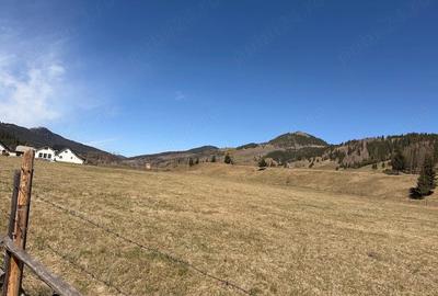 Teren de 20000 mp, în Ciocănești - 5