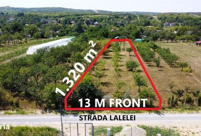 Spațiu comercial, în Central