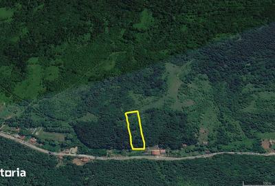 Teren de 1413 mp, în Vețel - 7