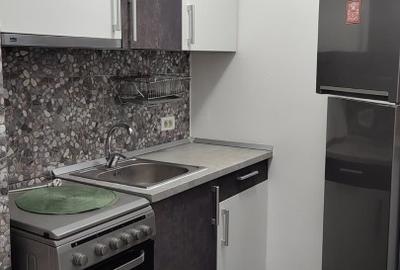 Apartament cu 2 camere decomandat în Calea Plevnei - 6