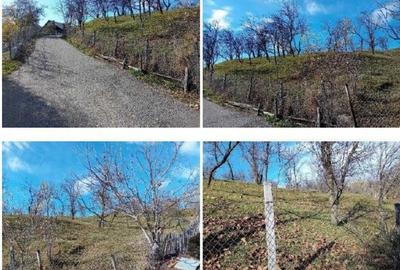 Teren de 2894 mp, în Vistieru - 11