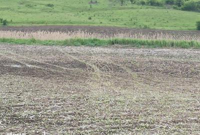 Teren de 1800 mp, în Central - 3