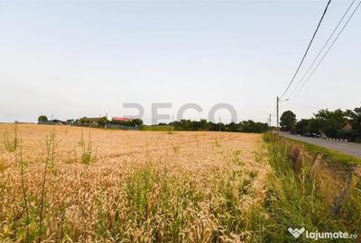 Teren de 1000 mp, în Lăzăreni - 2
